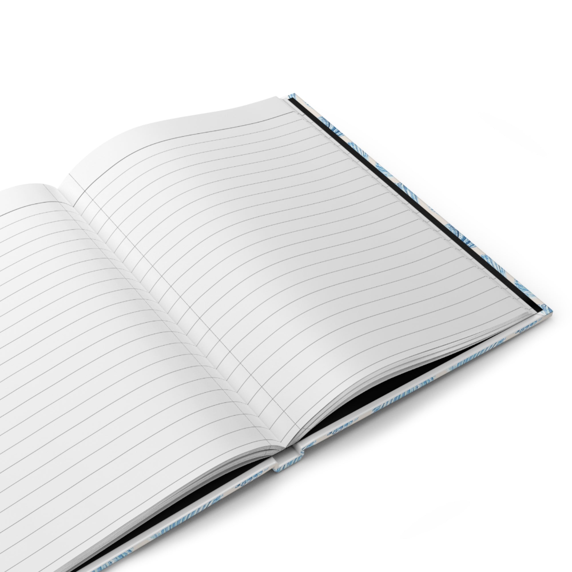 Seashells Journal